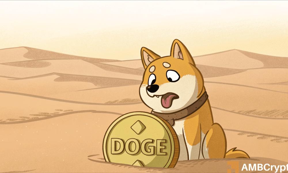 Can Dogecoin Recover from its 95% Plummet?